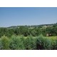 Properties for Sale_Restored Farmhouses _FARMHOUSE WITH DEPENDANCE OPENSPACE AND PORCH Country house with garden for sale in Marche in Le Marche_13